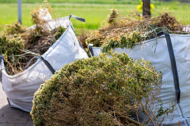 Attic Cleanout Services in Oceanside, CA